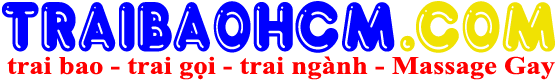 Logo traibaohcm.com